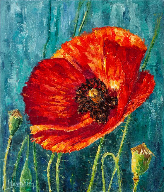 Red poppy