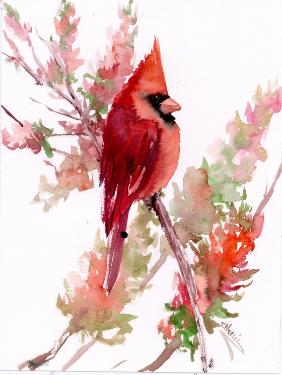 Red Cardinal Bird