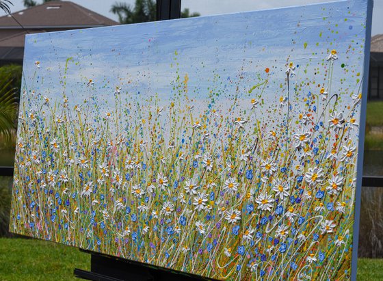 Daisies in July - wildflower meadow painting