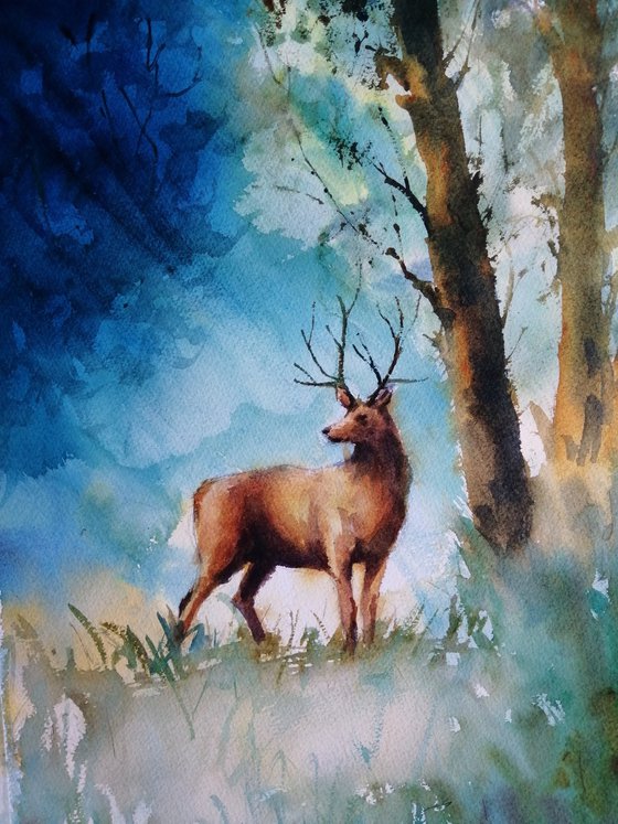 deer 8