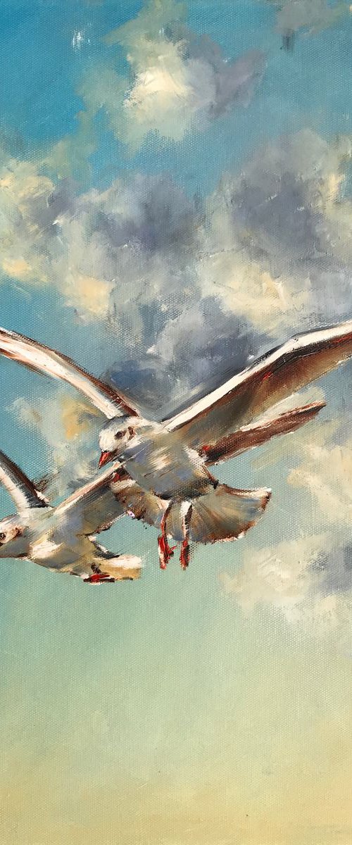 Two Gulls by Diana Malivani