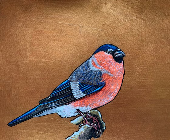 British Garden Birds series - Bullfinch