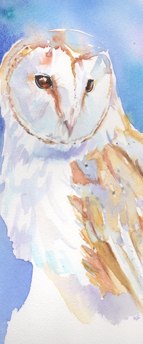 Barn Owl by Sarah Stowe