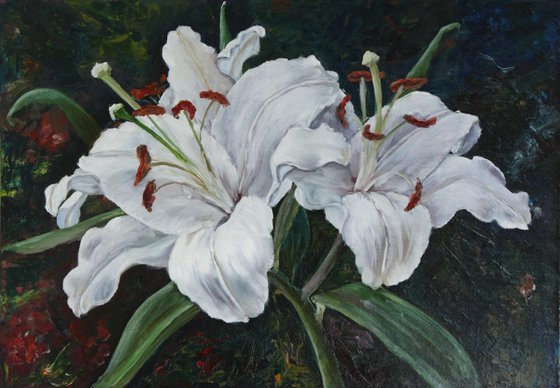 Lilies