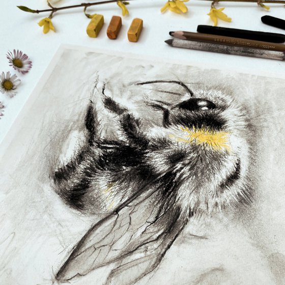 25 Beautiful and Realistic Charcoal Drawings for your inspiration