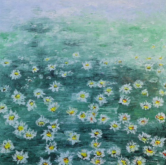 Daisies 2