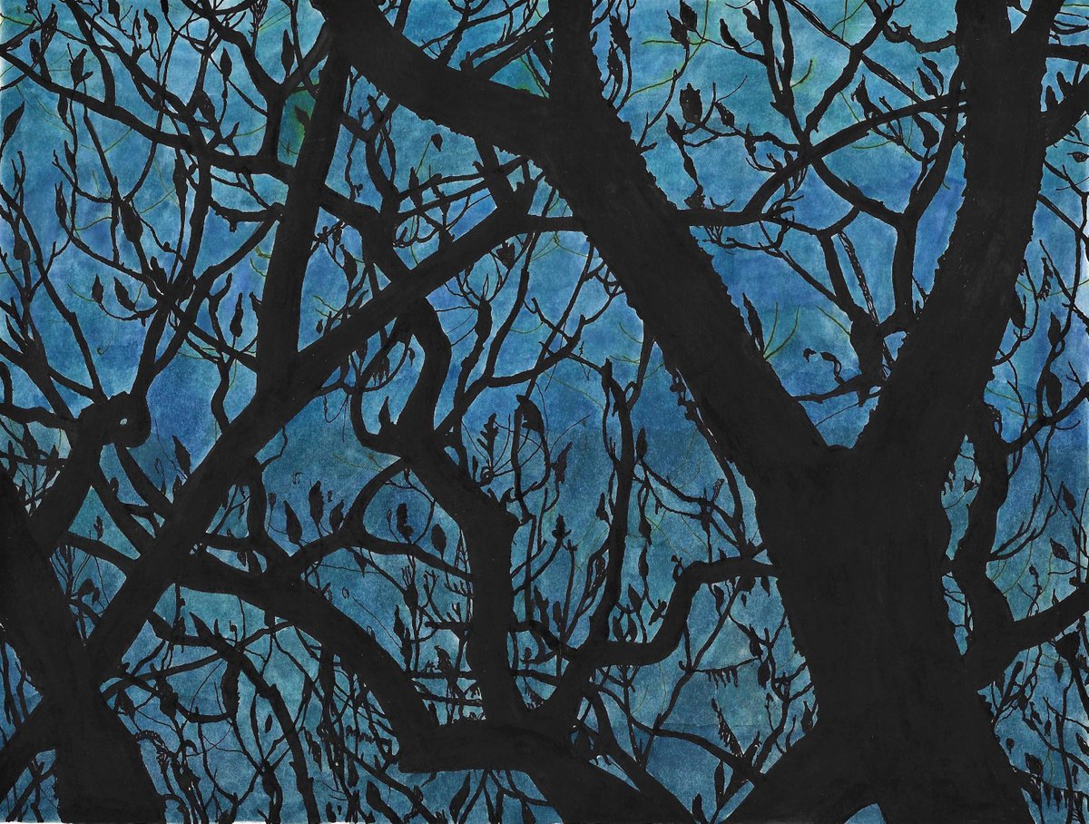 DARK BRANCHES by Nives Palmic
