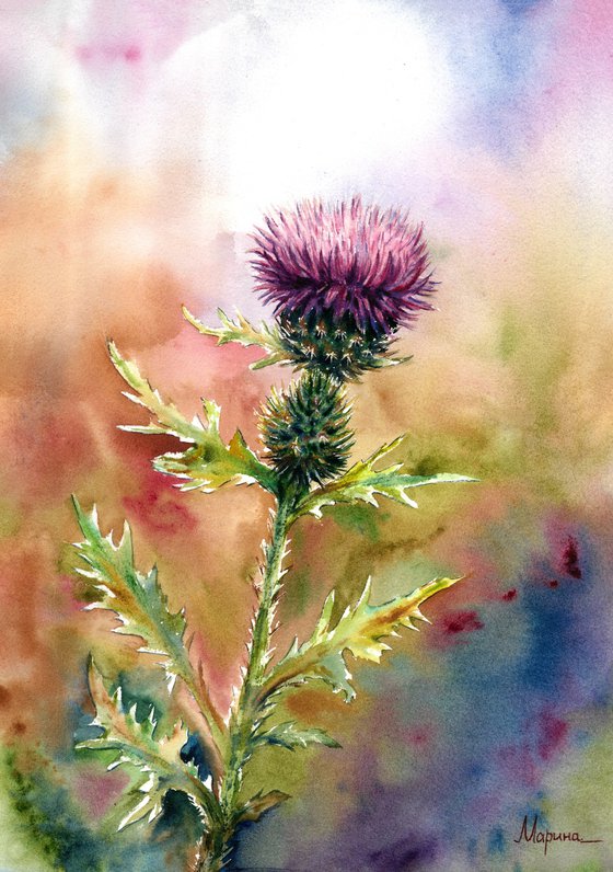Thistle