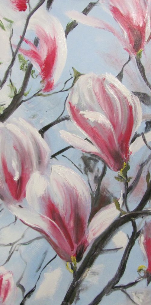 Magnolia by Valeriia Radziievska