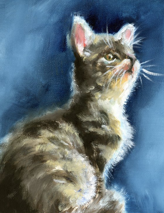 The Kitten - Original Oil Painting