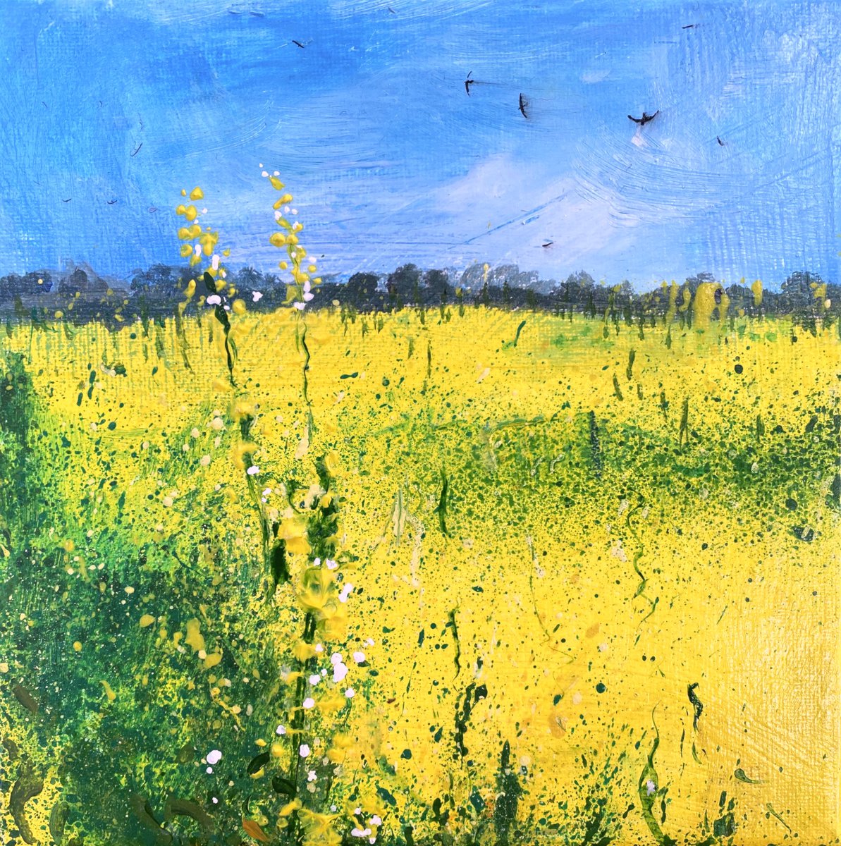 Seasons - Late Spring Rapeseed Field by Teresa Tanner