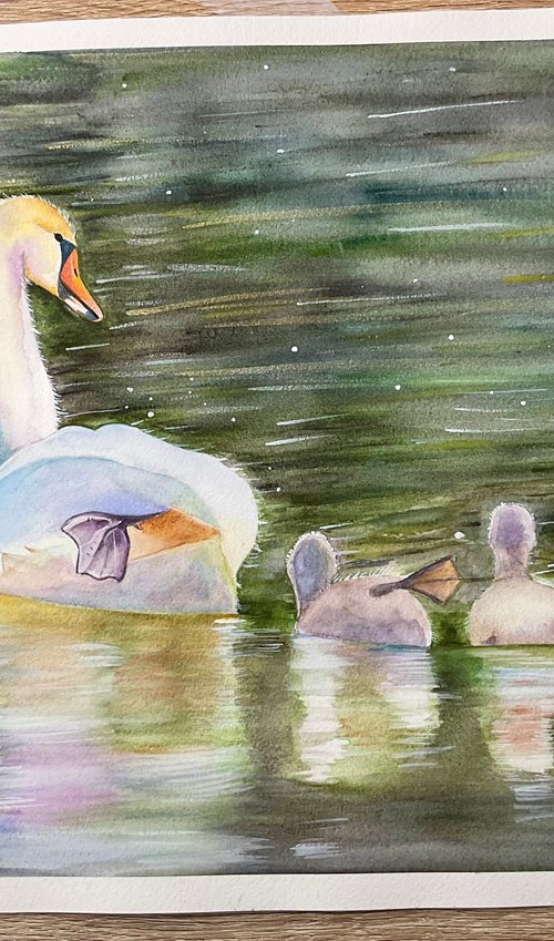 The big stretch! Swans watercolour painting by Bethany Taylor