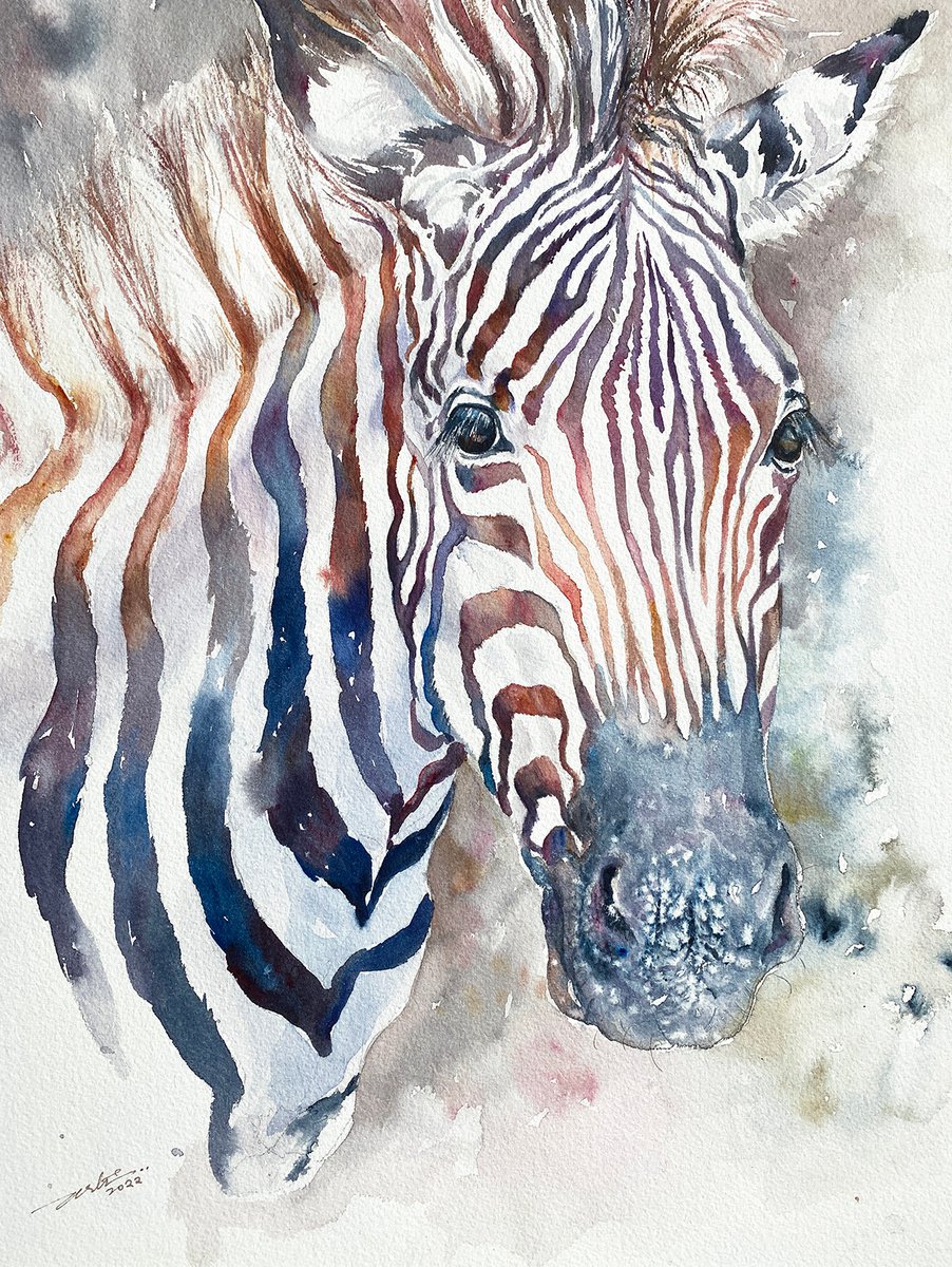Zebra Zen by Arti Chauhan
