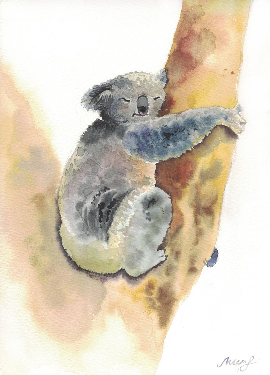 Koala by Ekaterina Mitrofanova