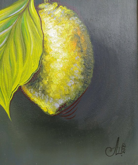 Lemons (The original is available for shipment from January 7, 2024)