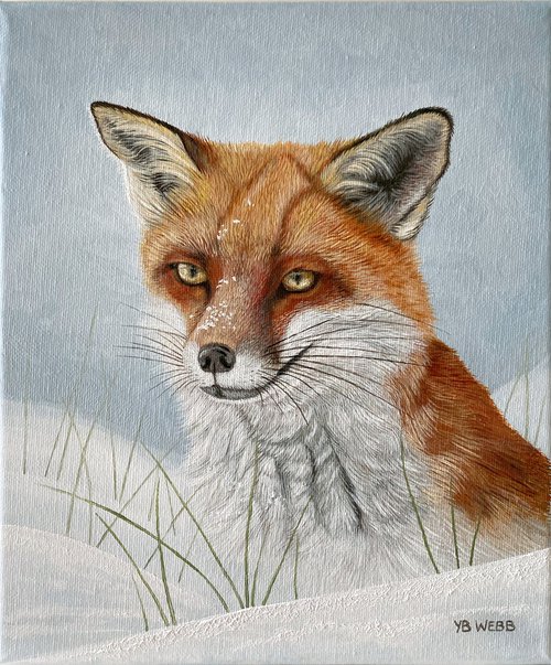 Red Fox In The Snow by Yvonne B Webb