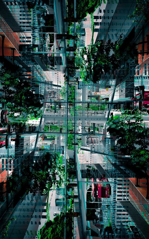 Urban jungle #3 by Sergio Capuzzimati