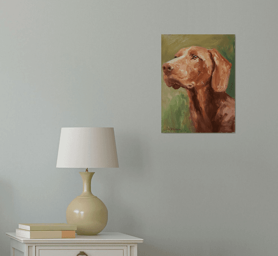 Vizsla portrait