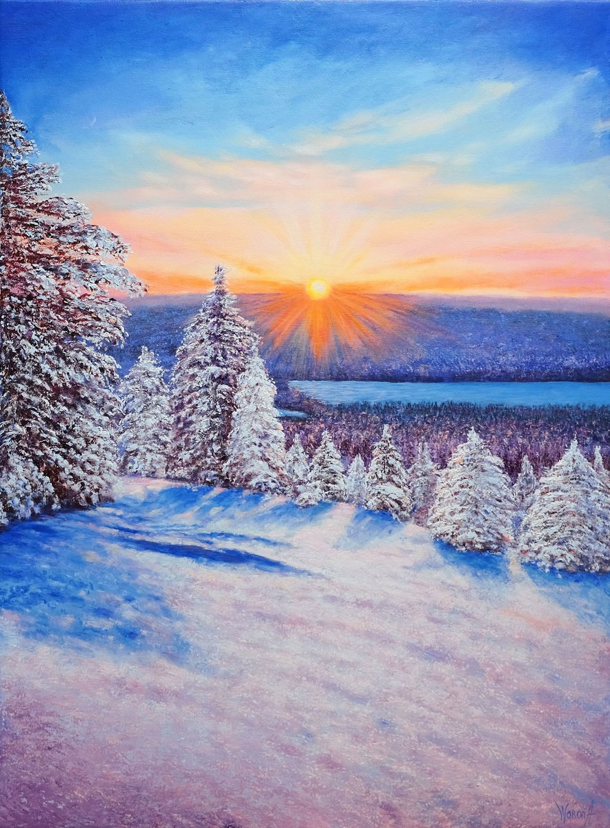 The winter sun. by Anastasia Woron