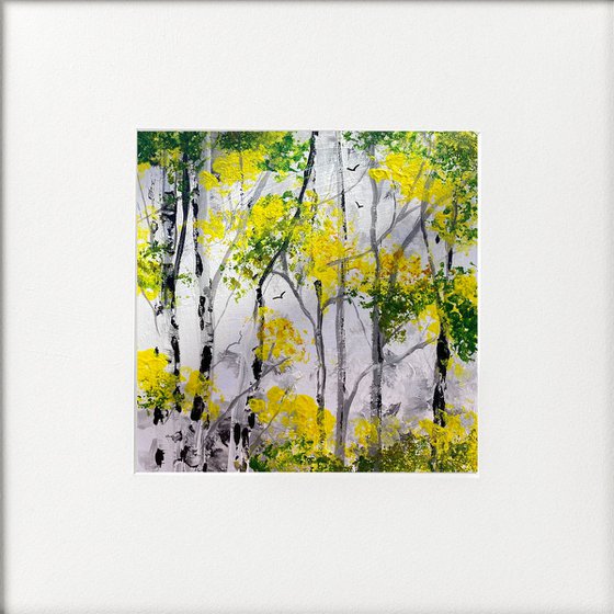 Seasons- Spring Silver Birches