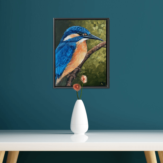 Kingfisher Kyle