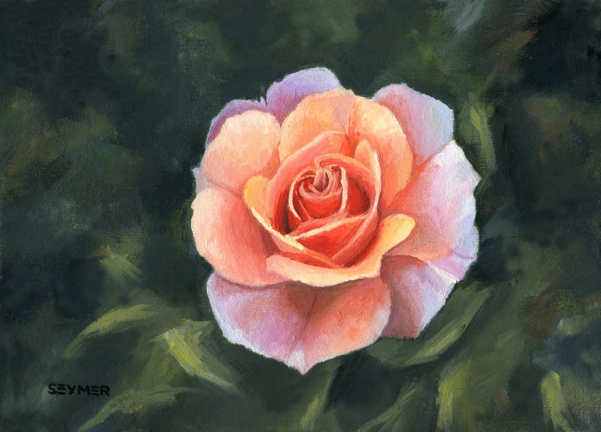 Photorealistic Botanical Oil Painting By Lucia Verdejo, 8 X 11", Little Pink Rose Flower, Original Artwork