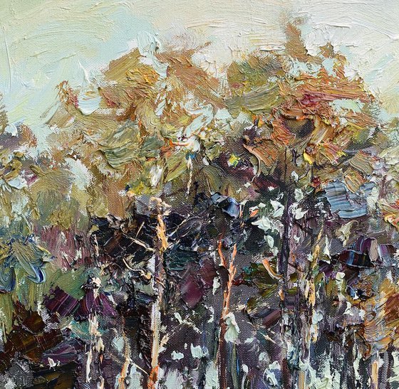 Autumn pine forest