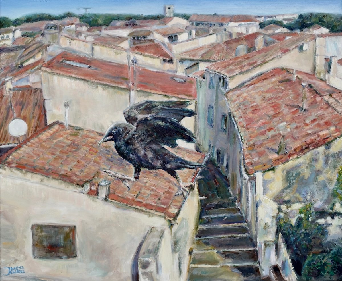 Crow On The Roof, Montpellier Cityscape by Jura Kuba Art