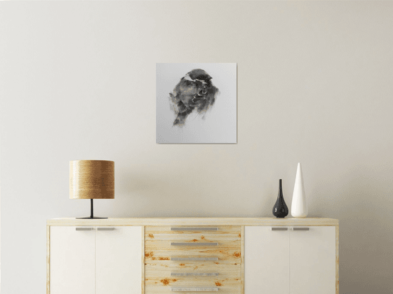 sparrow in winter