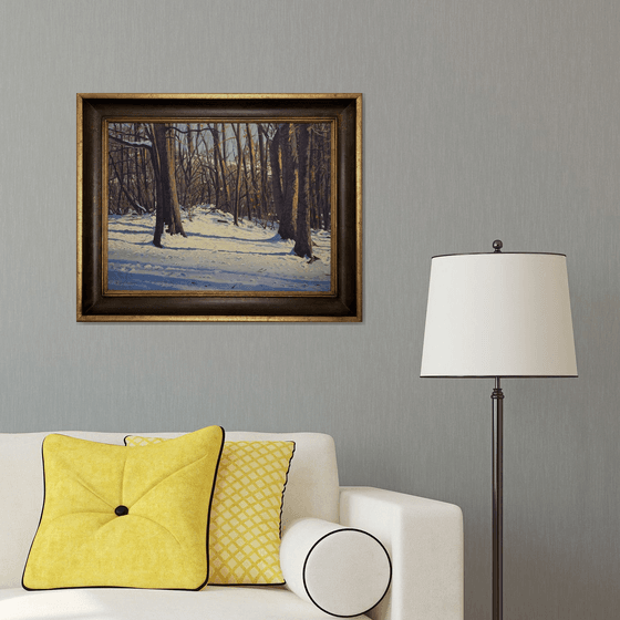 Winter Stillness: Snow and Shadow