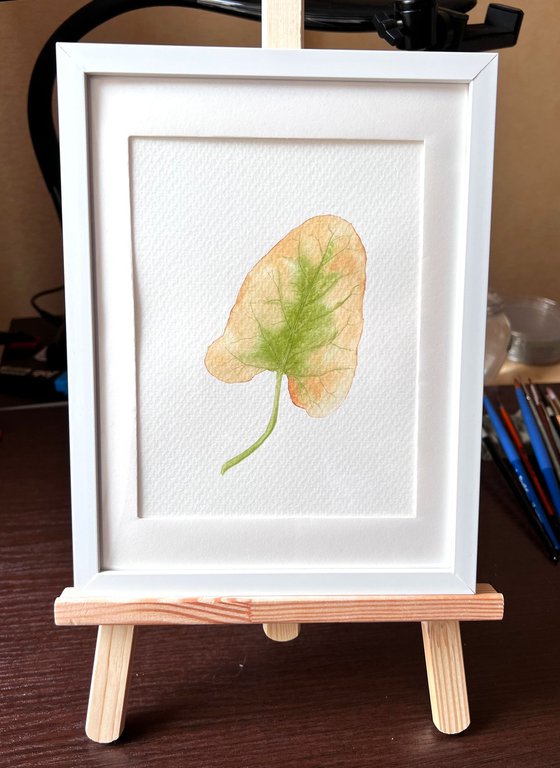 Autumn leaf Sketch #6
