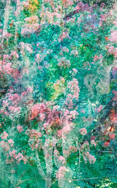 Gentle spring by Viet Ha Tran