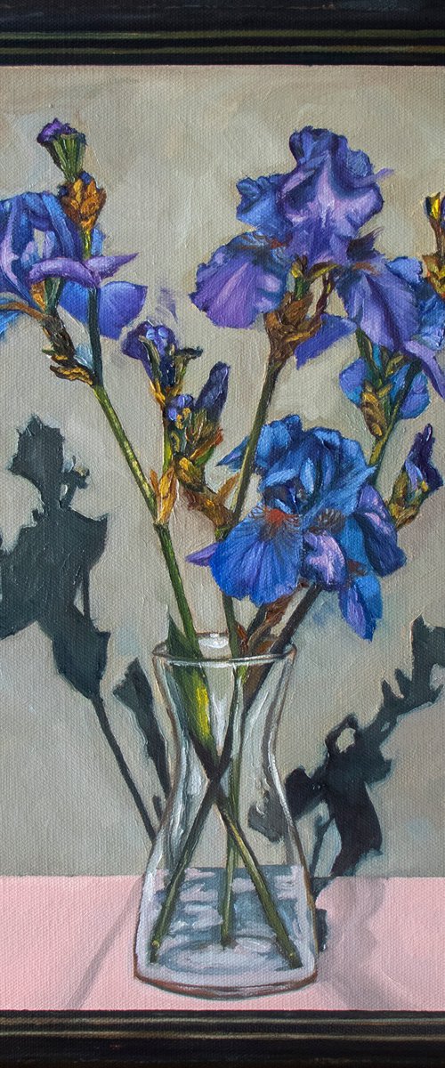Iris by Eva Chen