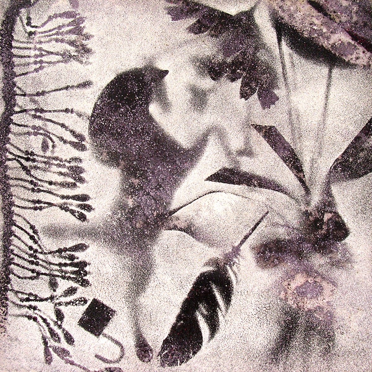  Incantesimi N. 7 By Milena Nicosia, 30 X 30, Artwork For Sale On Artfinder