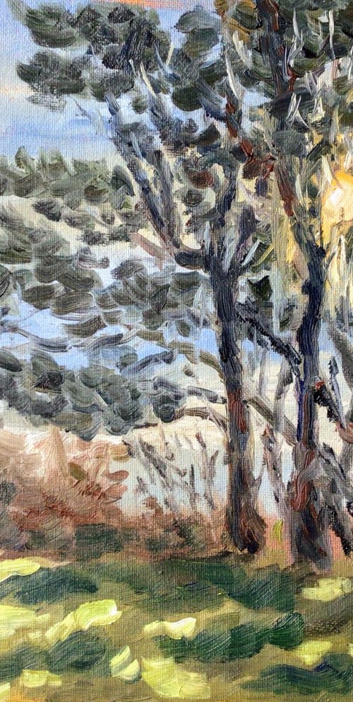 Sun behind the trees, a plein air oil painting. by Julian Lovegrove Art