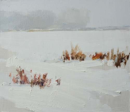 dry grass on a lake with a snow by Pavlo Gryniuk