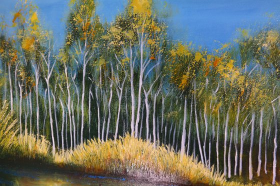 The Mirror of trees