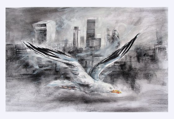 Gull, The City