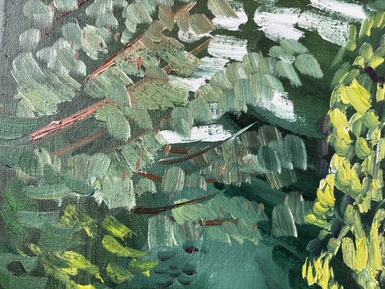 Evening Light on the Birch Tree