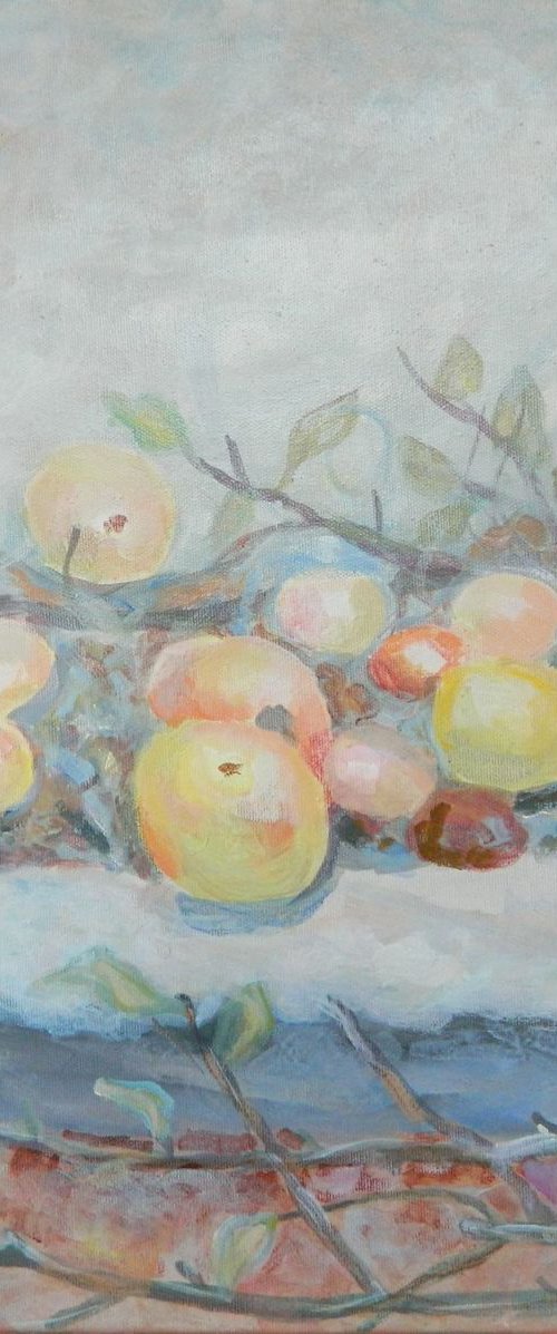 apples by Muntean Floare