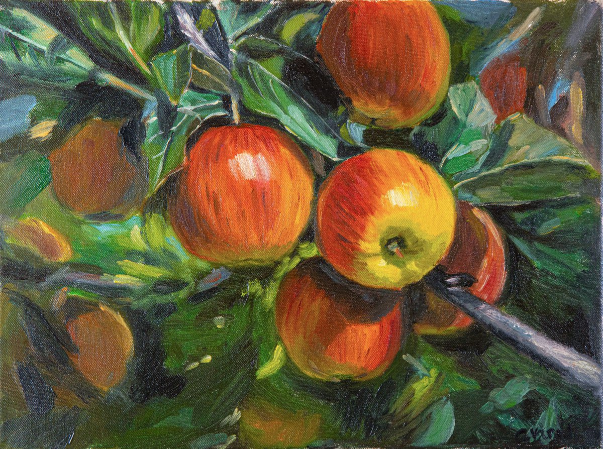 Harvest of apples by Catherine Varadi