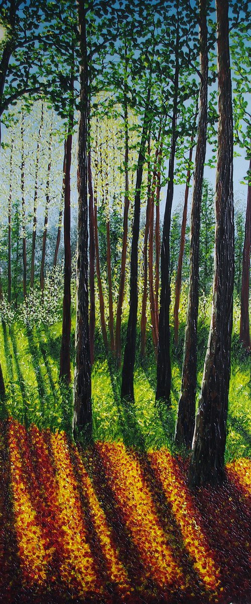 Autumn Forest Light by Hazel Thomson