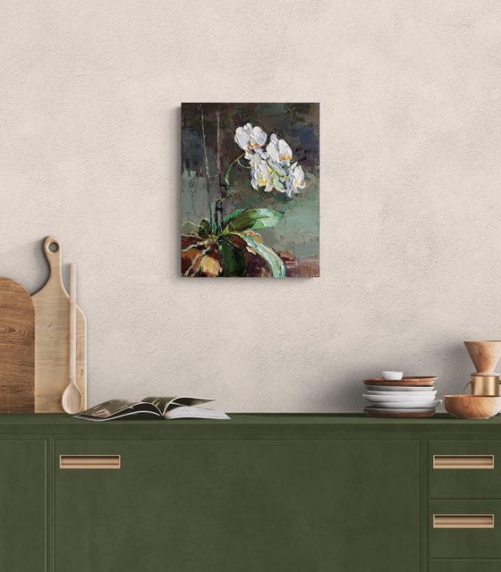 Blooming Orchid