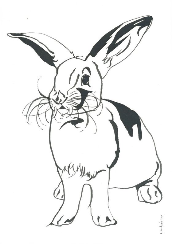 Rabbit I Animal Drawing