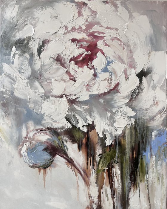 Stunning Delicate Peony