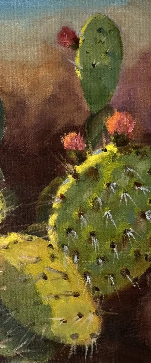 Cactus by Grace Diehl