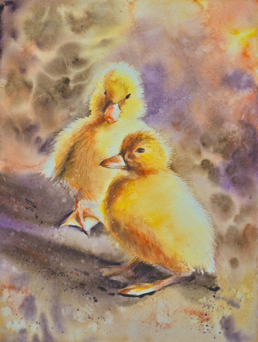 Cute ducklings by Eve Mazur