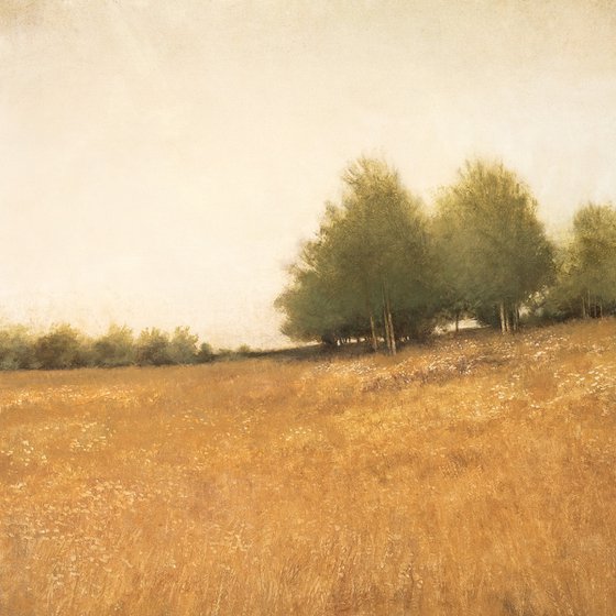 Hillside Trees 250314