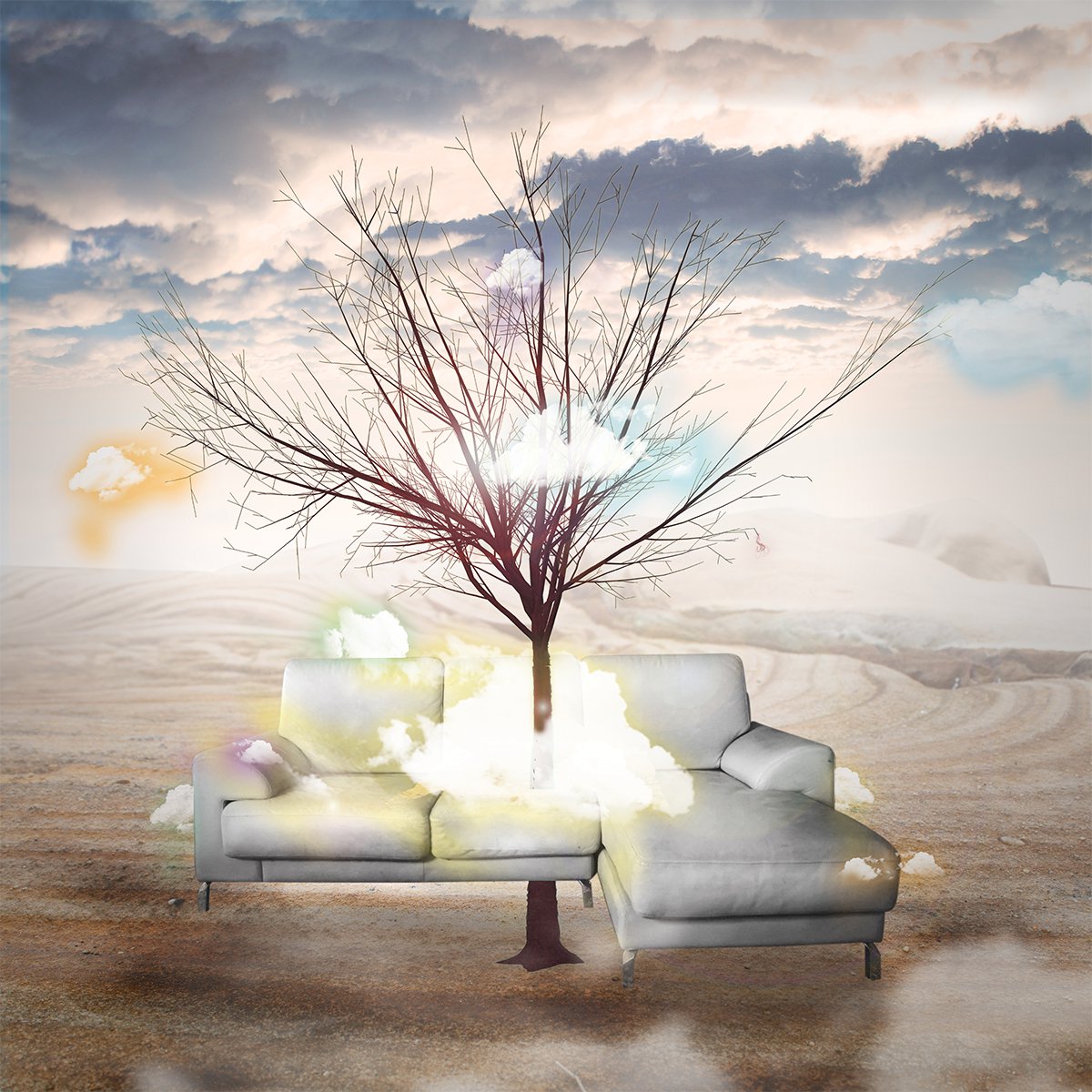 Couch Tree by Vanessa Stefanova
