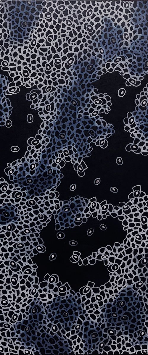 Variegated No11 by Jennifer Bell